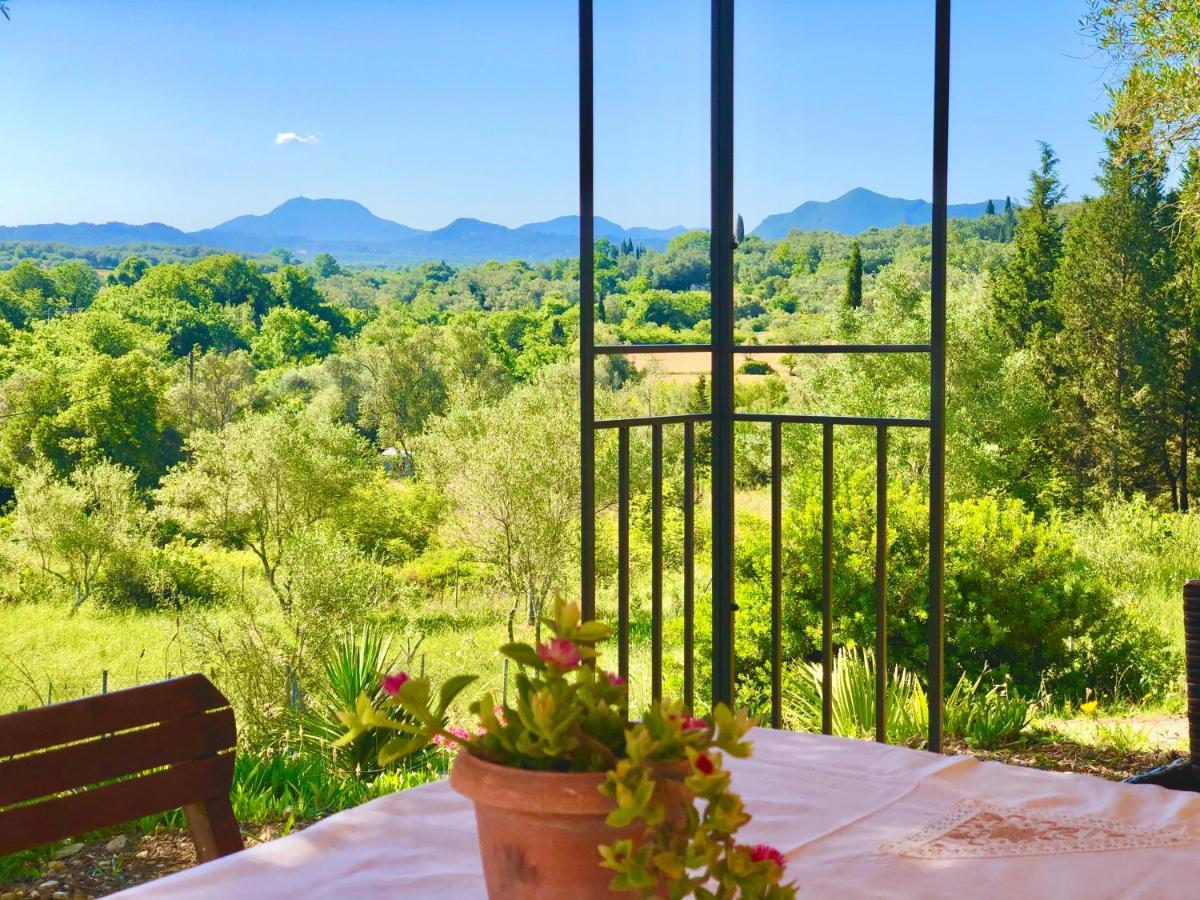 Apartment Armonia Corfu Luxury